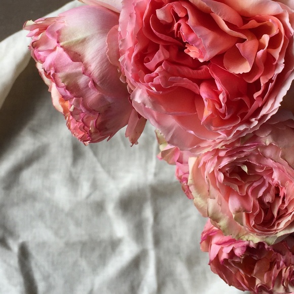 Meet your Posher, Shannon - Picture 1 of 1